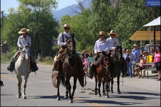 horses in the parade
