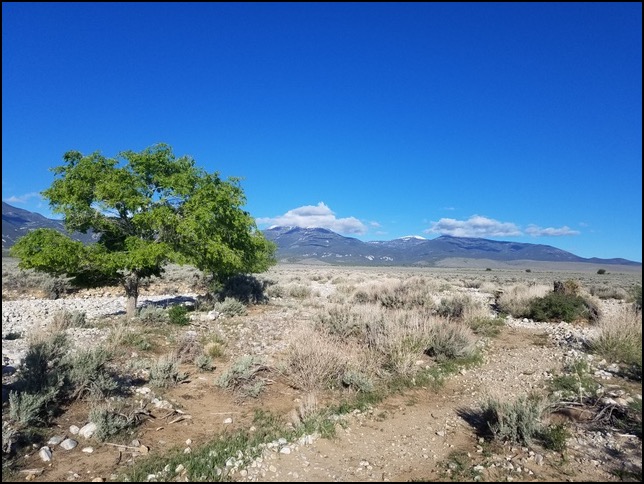 1-sagebrush discovery trail